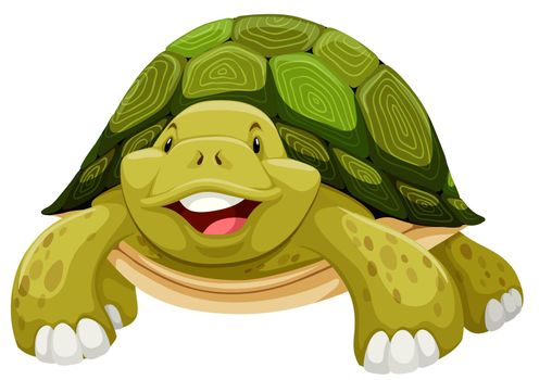 Green turtle smiling on white background