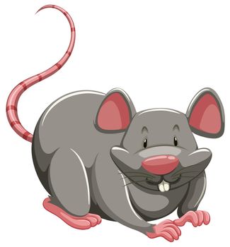 Fat mouse sitting alone on white background