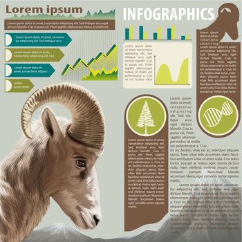An infographics of an animal's life