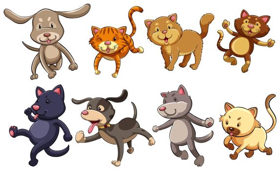 A group of playful cats and dogs on a white background