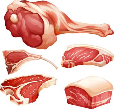 Set of different parts of red meat