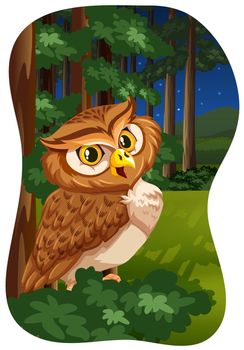 Brown owl sitting in a forest under bright stars