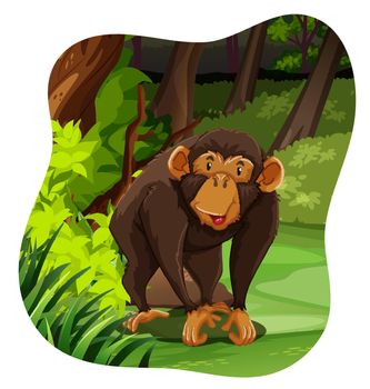 Happy monkey living in the forest