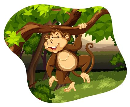 Brown monkey swinging on a tree in the jungle