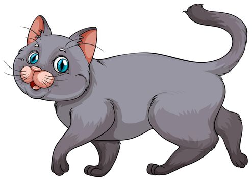 Young gray kitten on white illustration
