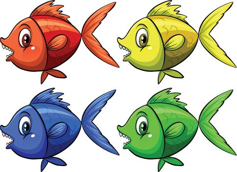 Four colorful fish on white background