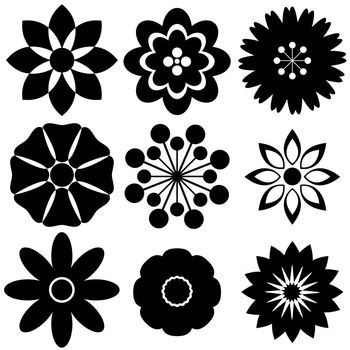 Flower design patterns on white background