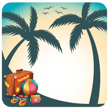 Scenery of coconut tree shadow with accessories for summer vacation