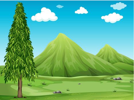Green field with a tree and mountains