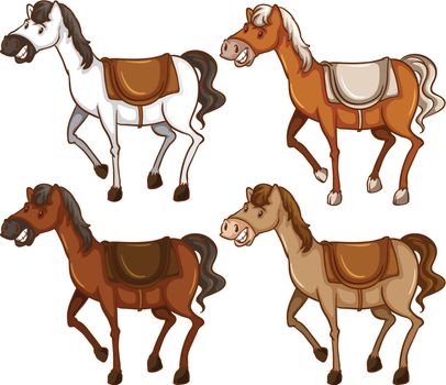 Four horses on a white background