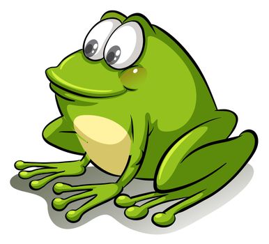 Green frog on a white background