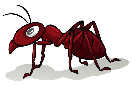 One red ant on a white background