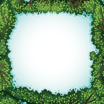 Frame of green plants with white background