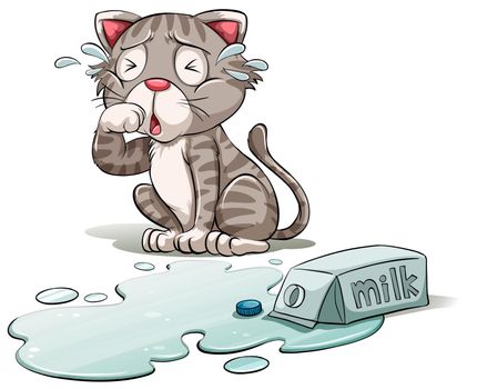 A cat crying over a spilt milk on a white background