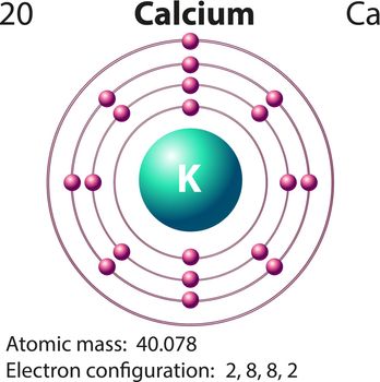 Diagram representation of the element clacium illustration