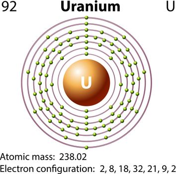 Diagram representation of the element uranium illustration