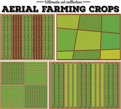 Aerial farming crops pattern illustration