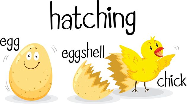 Little chick being hatched illustration