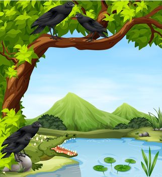 Crows and crocodile by the river illustration