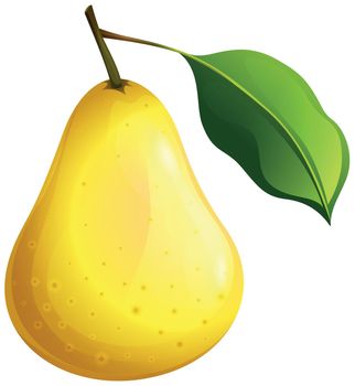 Fresh pear with stem illustration