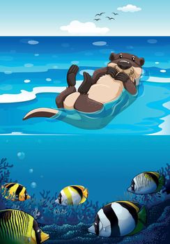 Sea otter swimming in the sea illustration