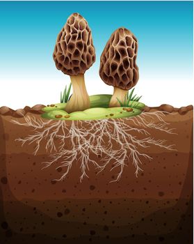 Mushroom growing from underground illustration
