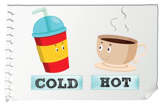 Opposite adjectives with cold and hot illustration