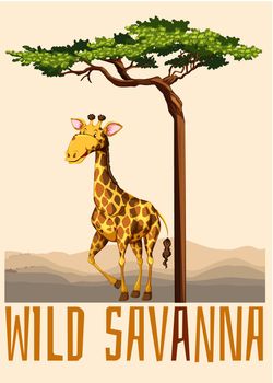 Wild savanna theme with giraffe illustration