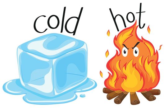 Cold icecube and hot fire illustration