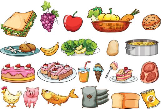 Food and ingredients set illustration