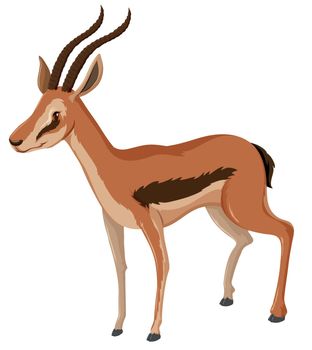 Antelope with sharp horns illustration