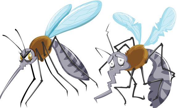 Mosquitoes strong and weak illustration