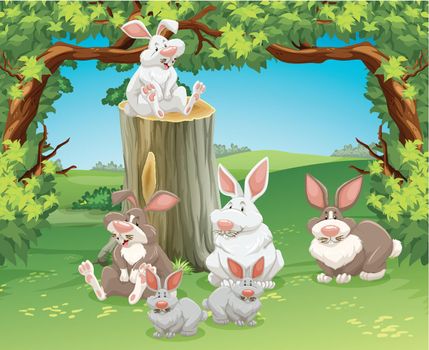 Six rabbits in the garden illustration
