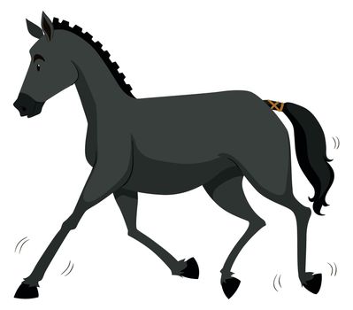 Black horse running alone illustration