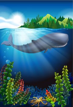 Whale swimming under the ocean illustration
