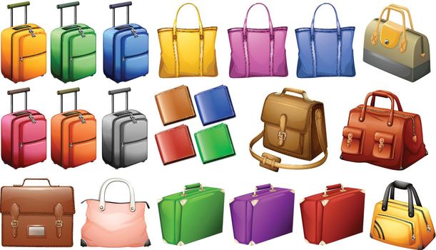 Different types of luggages illustration