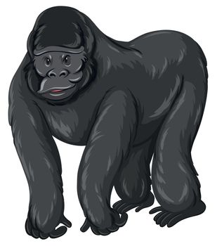 Gorilla with happy face illustration