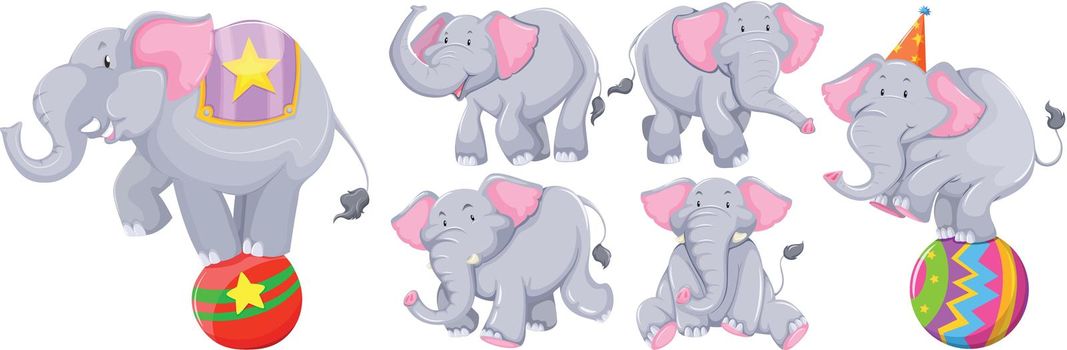 Gray elephants in different actions illustration