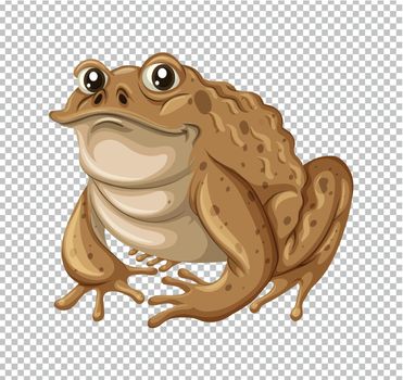 Toad with brown skin illustration