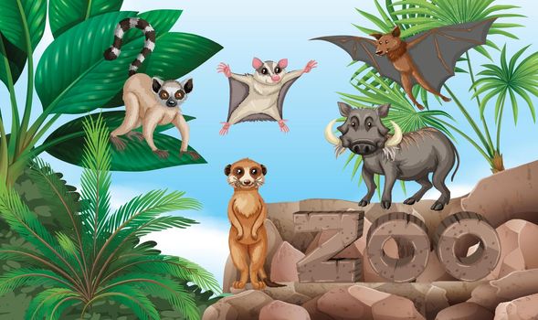 Different types of wild animals in the zoo illustration