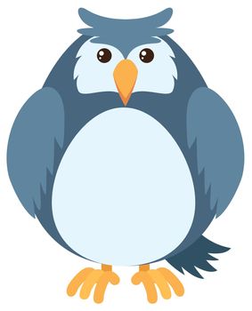 Blue owl with round body illustration