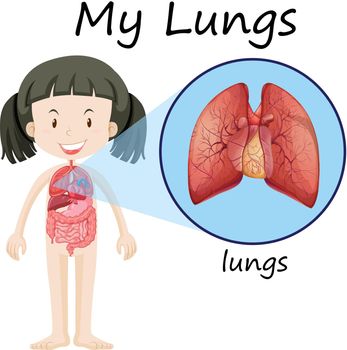 Girl and lungs on diagram illustration
