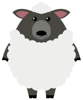 White sheep on white background illustration