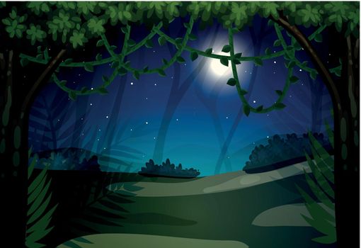 Dark night at forest illustration