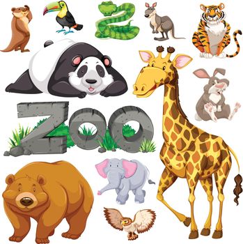 Zoo and different types of wild animals illustration