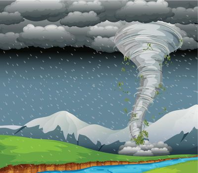 Cyclone in the nature illustration
