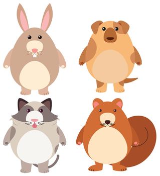 Four types of cute pets illustration