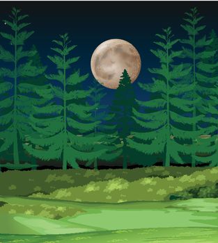 A forest at night illustration
