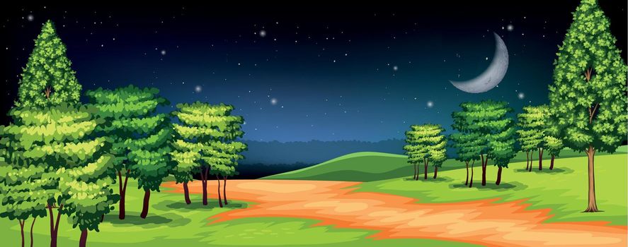 A forest at dark night illustration