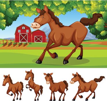 Horses at the farmland illustration